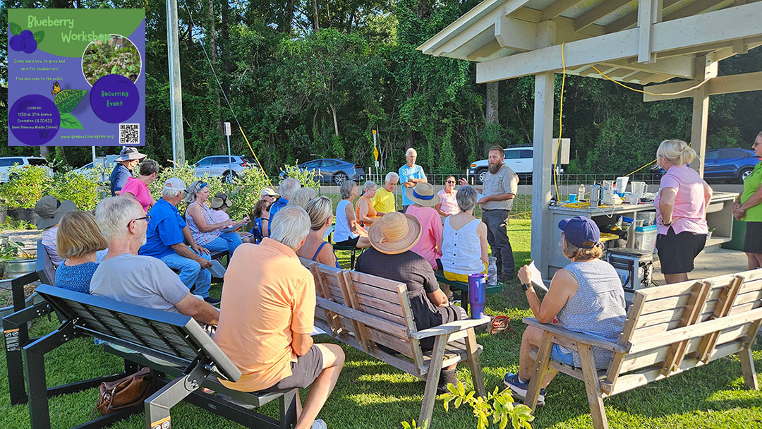 Blueberry Seminar Announcement