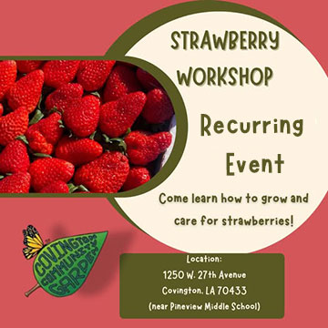 Seminar Announcement - Strawberry