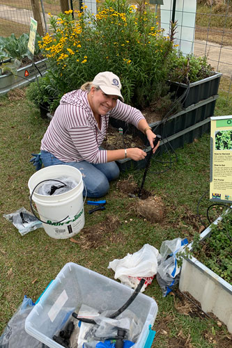 photo of volunteers in the garden